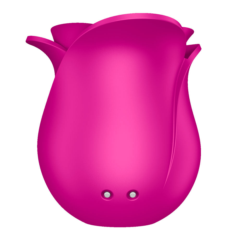 Satisfyer Pro 2 Modern Blossom - Modern Pink USB Rechargeable Air Pulse Rose Stimulator - 4065861