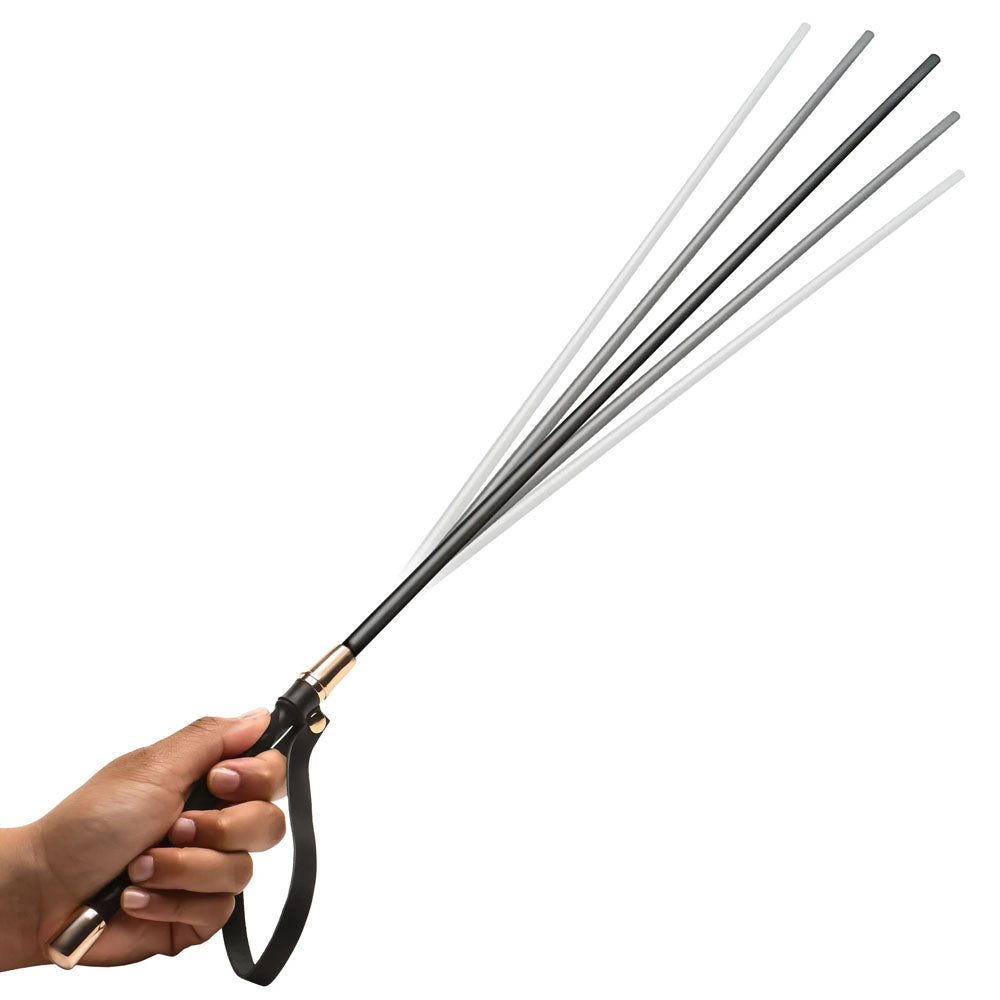 Master Series Sinful Impact Cane - Black Plastic Cane Whip - AH598