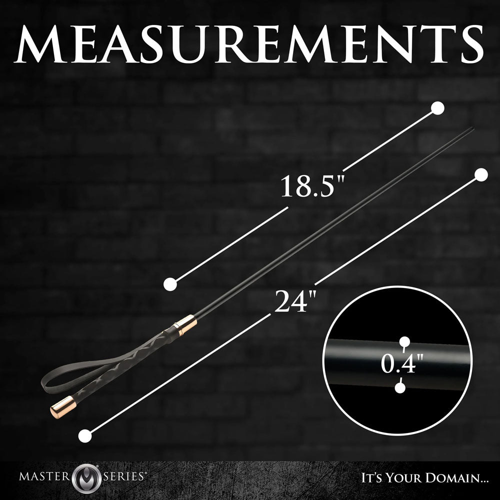 Master Series Sinful Impact Cane - Black Plastic Cane Whip - AH598