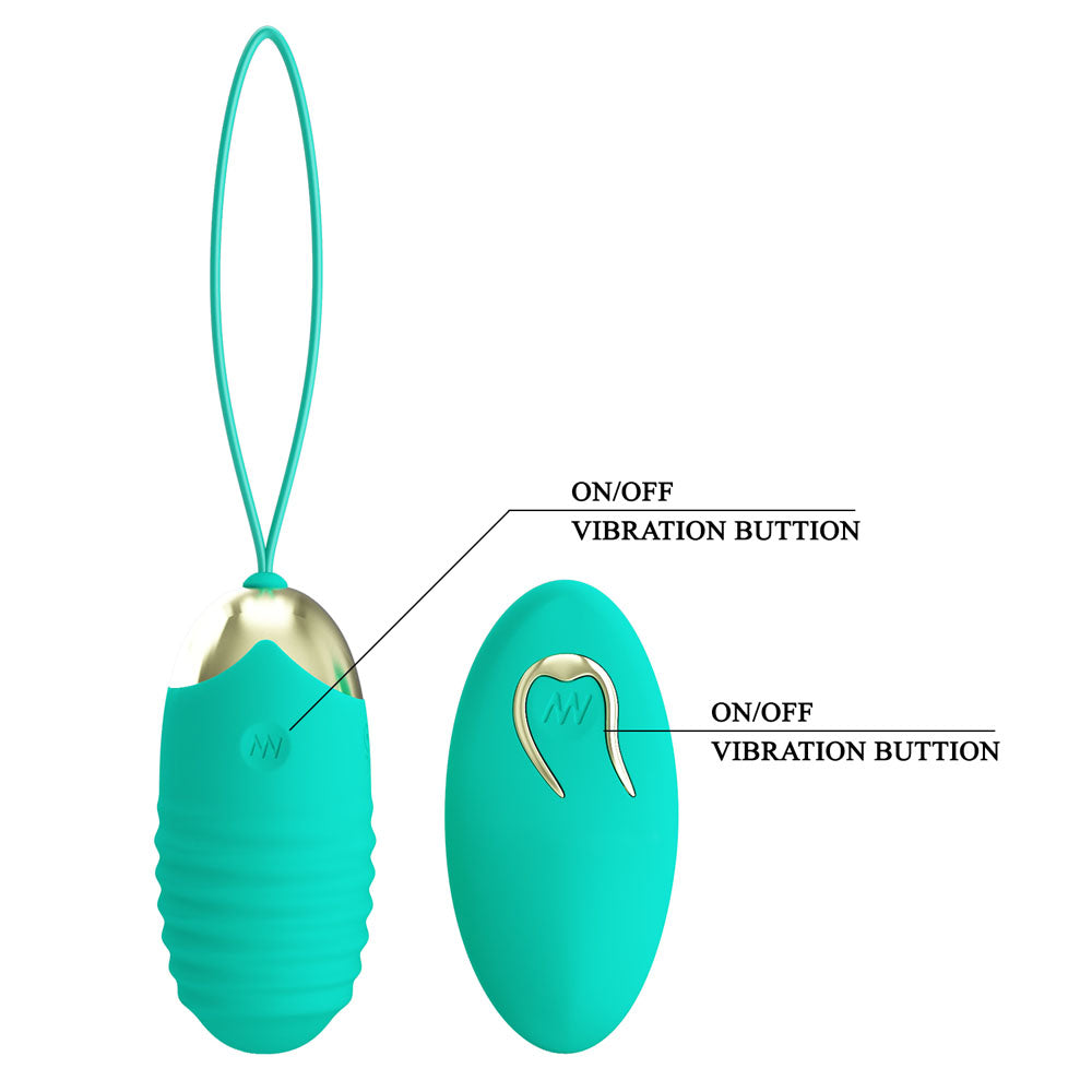 Party Up IAN Remote Egg - Teal - Teal USB Rechargeable Vibrating Egg with Wireless Remote - BI-014362W-3A4-PU