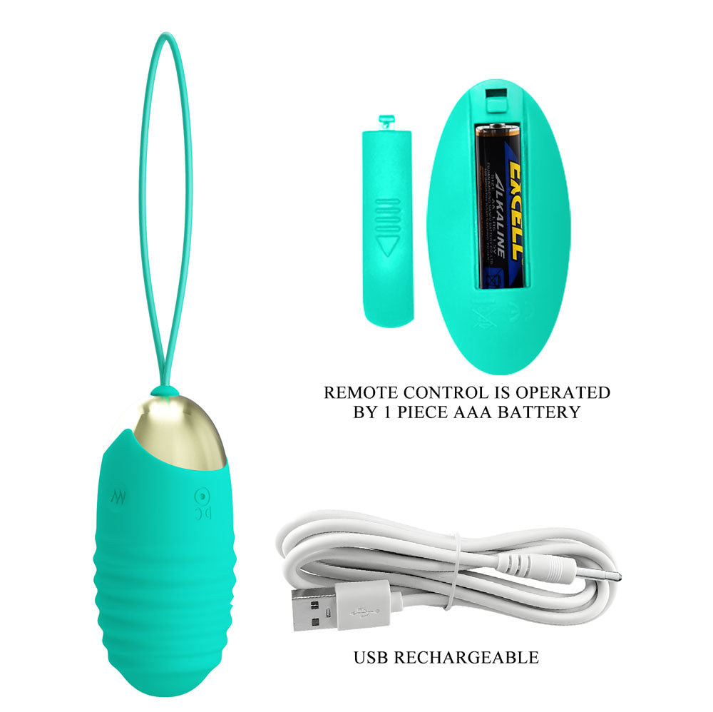 Party Up IAN Remote Egg - Teal - Teal USB Rechargeable Vibrating Egg with Wireless Remote - BI-014362W-3A4-PU
