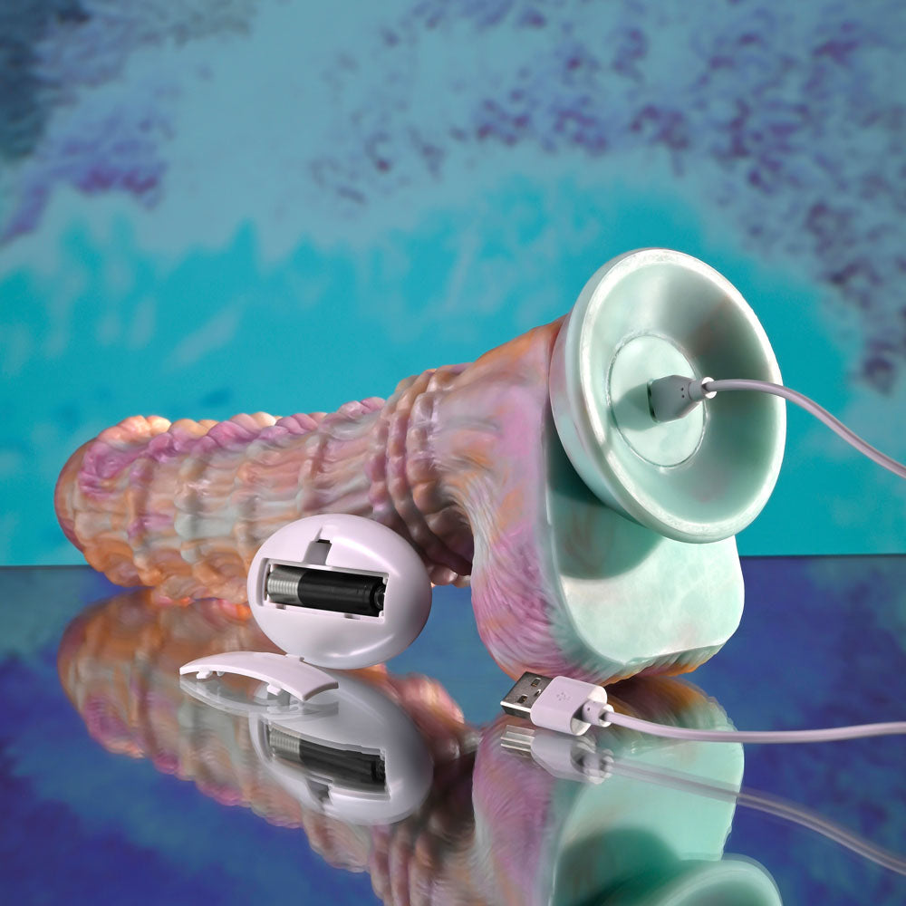 Evolved FANTASY - Multicoloured 27.6 cm USB Rechargeable Vibrating Fantasy Dildo with Remote - EN-RD-6404-2