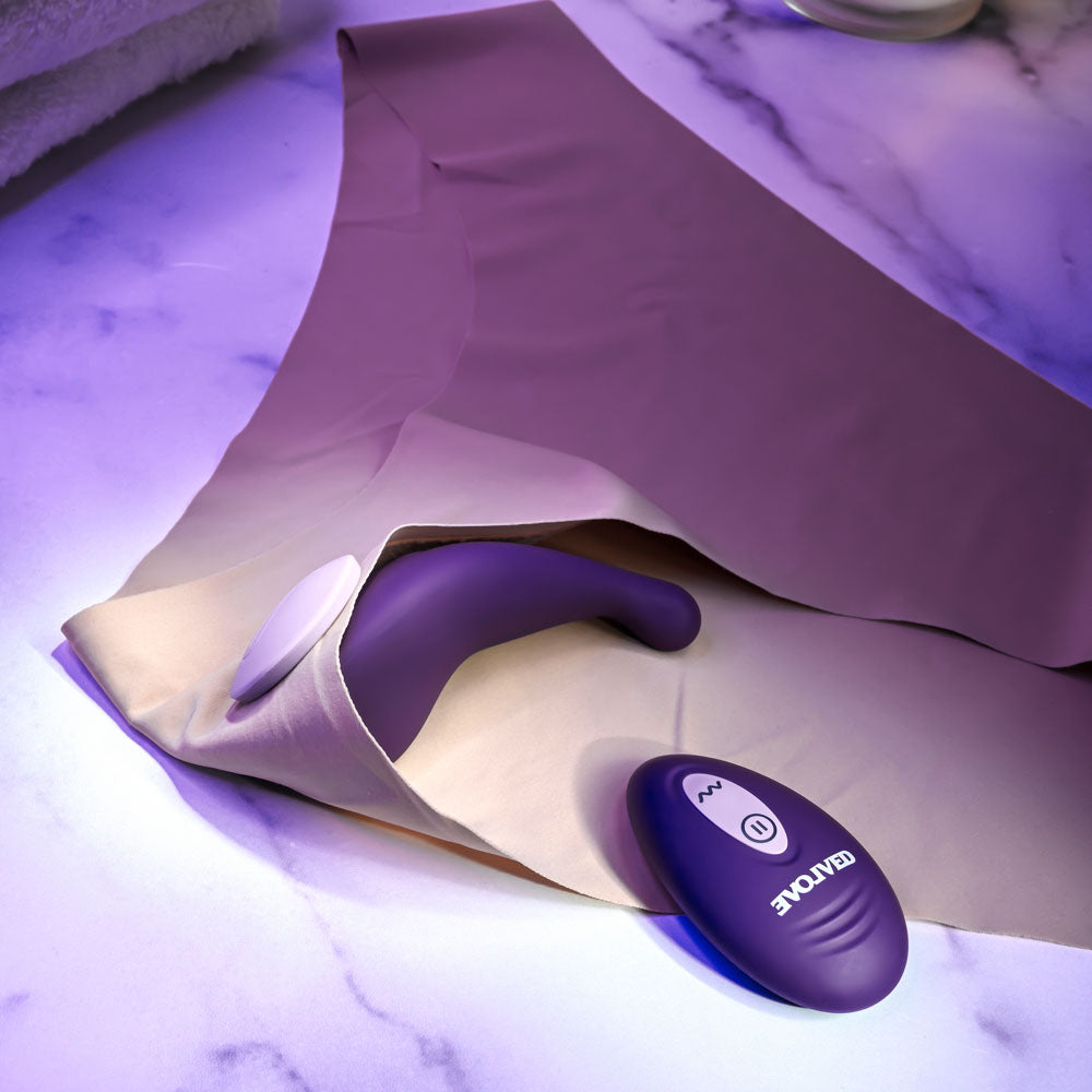 Evolved PANTY PARTY - Purple USB Rechargeable Panty Vibrator with Remote Control - EN-RS-4073-2