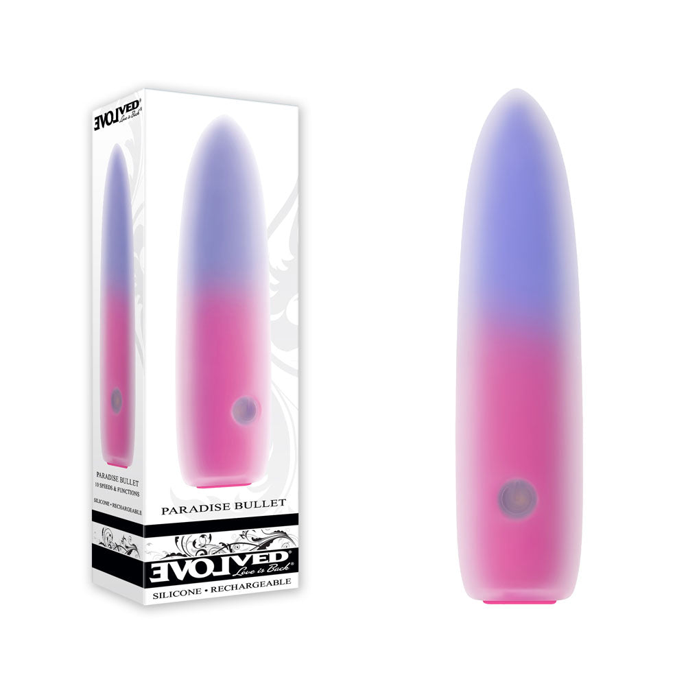 Evolved PARADISE BULLET - Pink/Purple 10.2 cm USB Rechargeable Bullet - EN-RS-5698-2