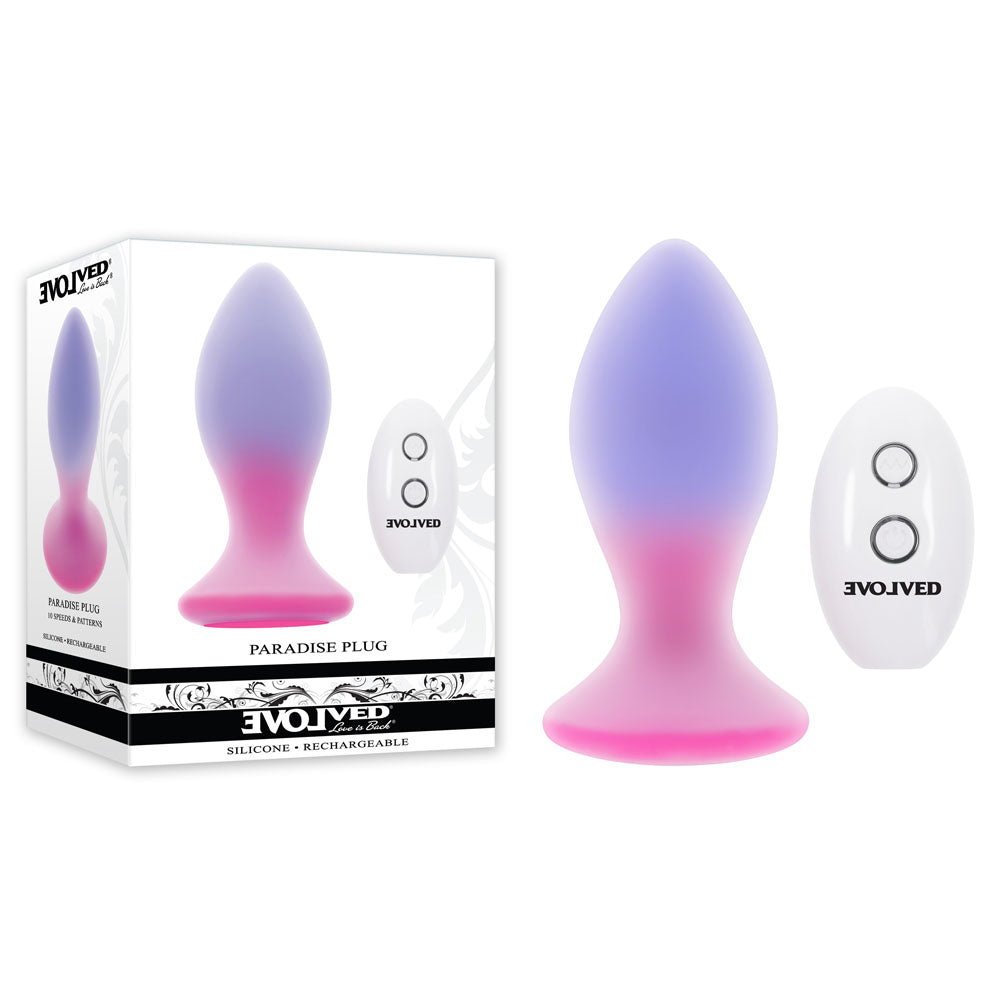 Evolved PARADISE PLUG - Pink/Purple 10.5 cm USB Rechargeable Vibrating Butt Plug with Wireless Remote - EN-RS-5704-2
