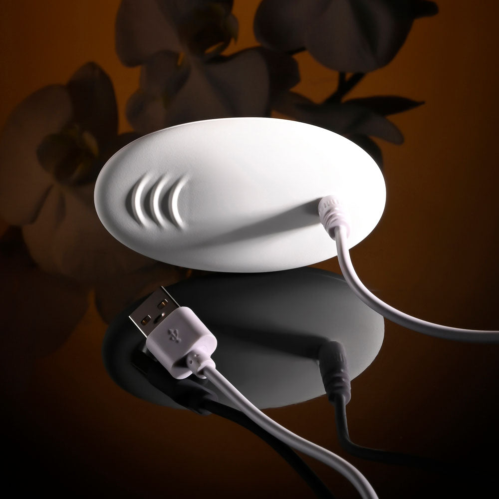 Evolved LOVEBIRDS - Purple 20.8 cm USB Rechargeable Double-Ended Rabbit Vibrator with Remote - EN-RS-6015-2