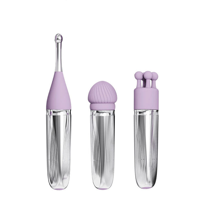 Adam & Eve SWEET DREAMS MASSAGER KIT - Lavender USB Rechargeable Point Stimulator with 8 Interchangeable Tips - I681 6900