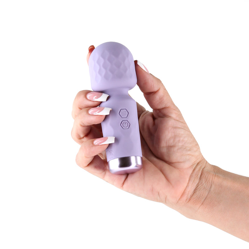 Lust-n-Dreams - Salsa - Lavender - Lavender 11.5 cm USB Rechargeable Mini Massage Wand - NSN-0245-15